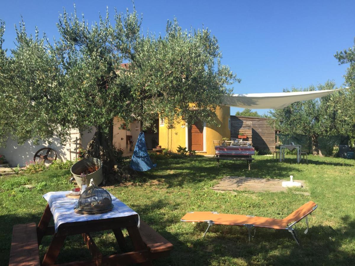 C'Era Una Volta Podere San Giovanni 福萨切西亚 外观 照片