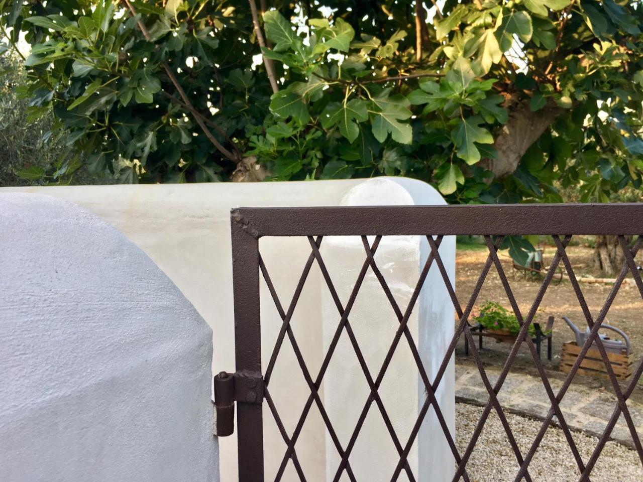 C'Era Una Volta Podere San Giovanni 福萨切西亚 外观 照片